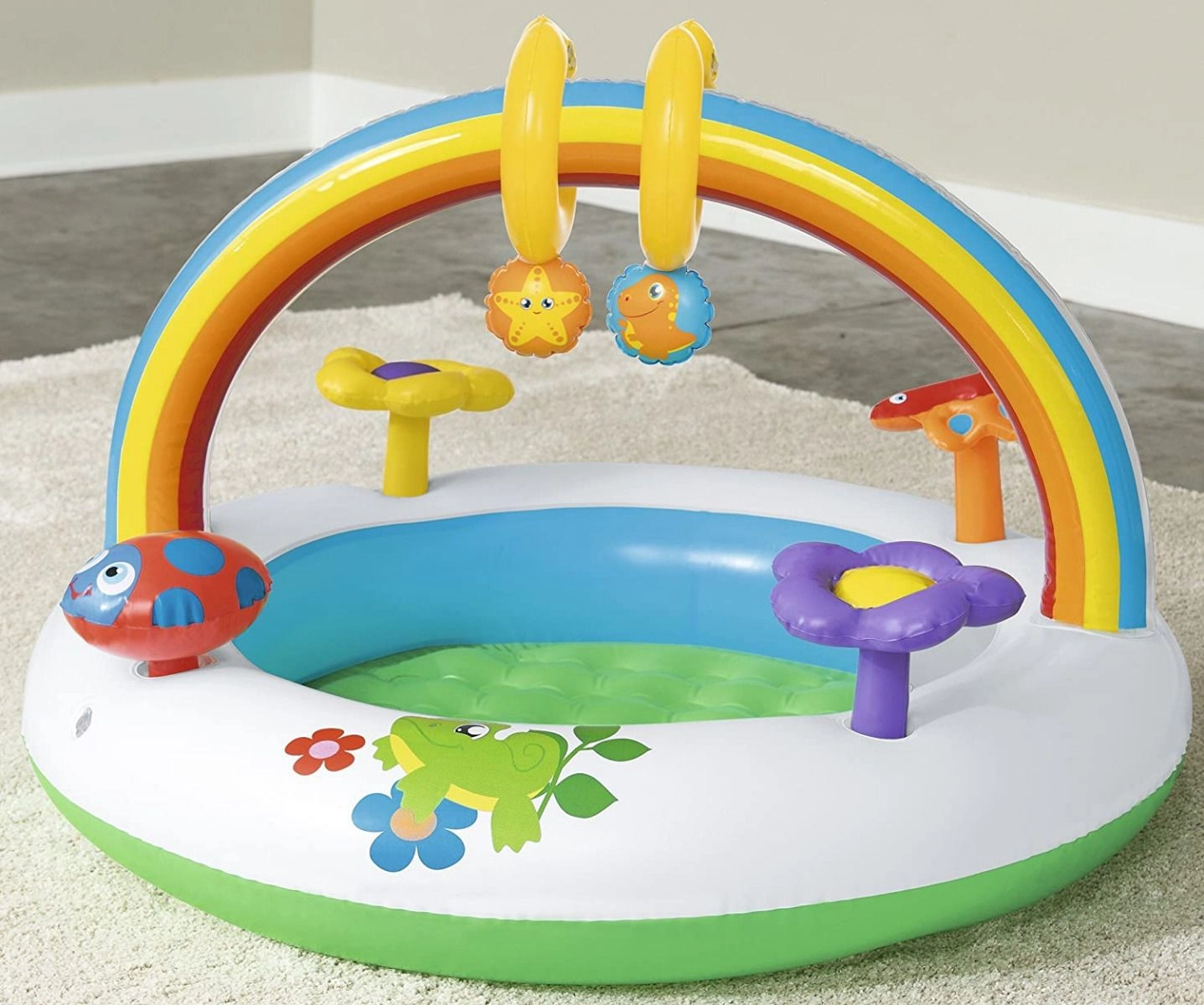 Rainbow Go & Grow Activity - 3-18 months