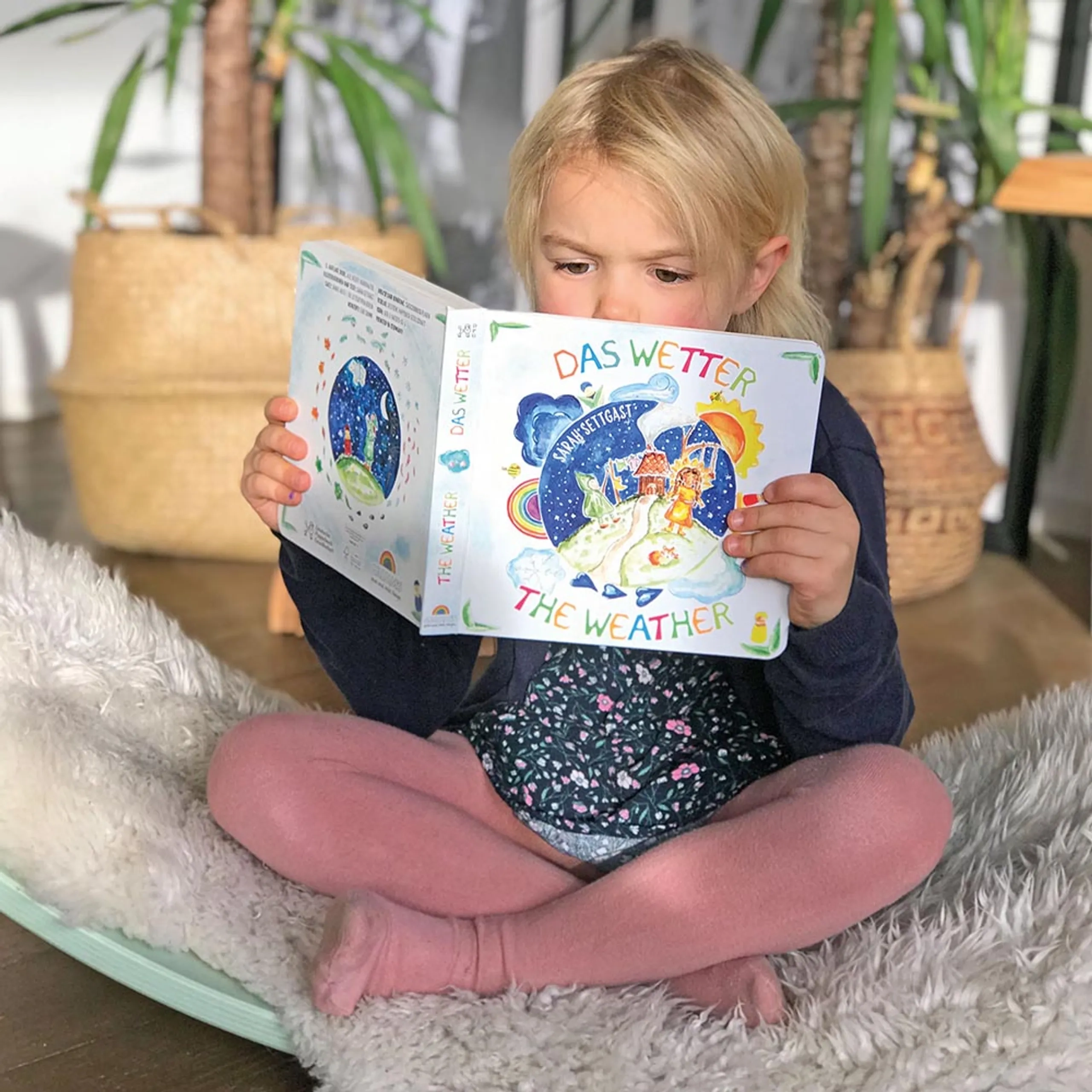 The Weather Cardboard Book - 1 year and above