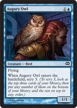 Wizards of the Coast Magic: the Gathering Augury Owl 14 - 1pcs