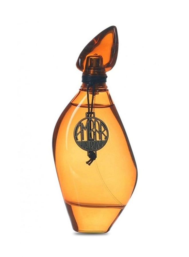 Jesus Del Pozo Ambar Eau de Toilette 100ml