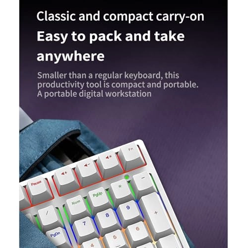 Mechanical Number Pad - Blue switch