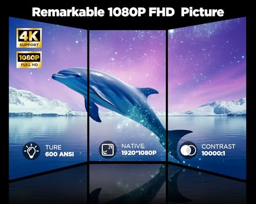 C16 600ANSI 1920 x 1080