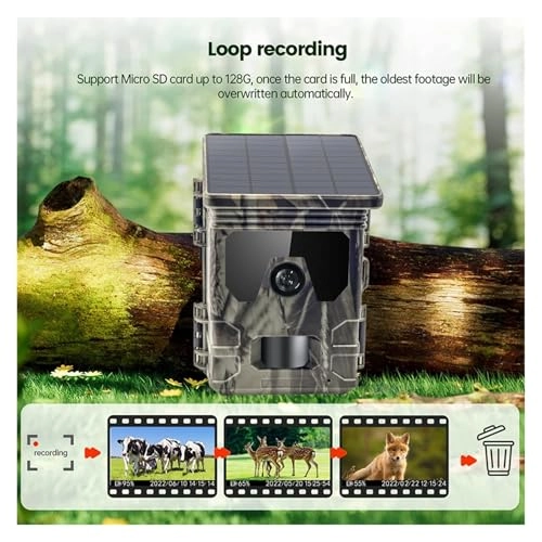 Wildlife Hunting Camera - 5MP