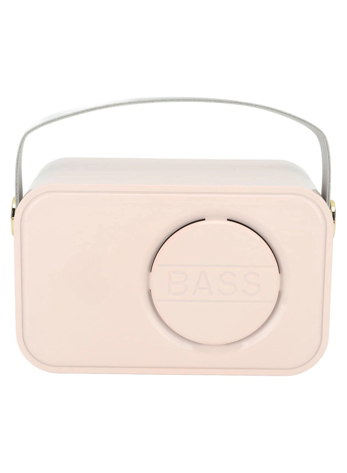 Outdoor Party Vocal Machine - 2 microphones