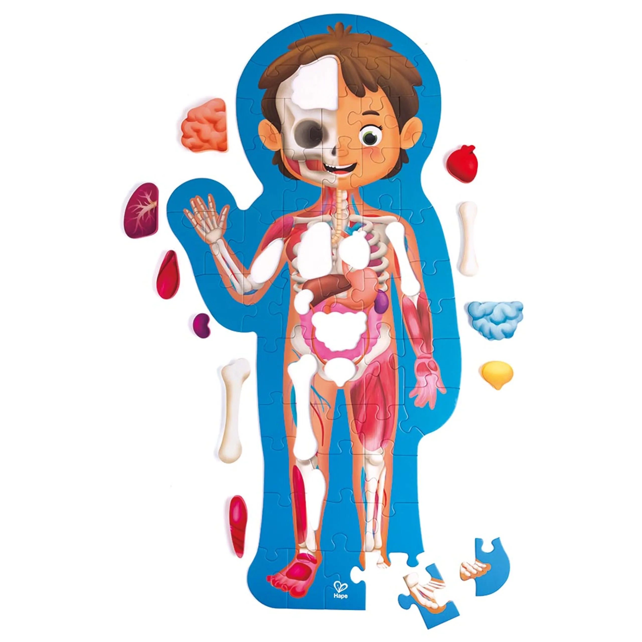 Human Body Jigsaw Puzzle - 4 years and up 60 pieces