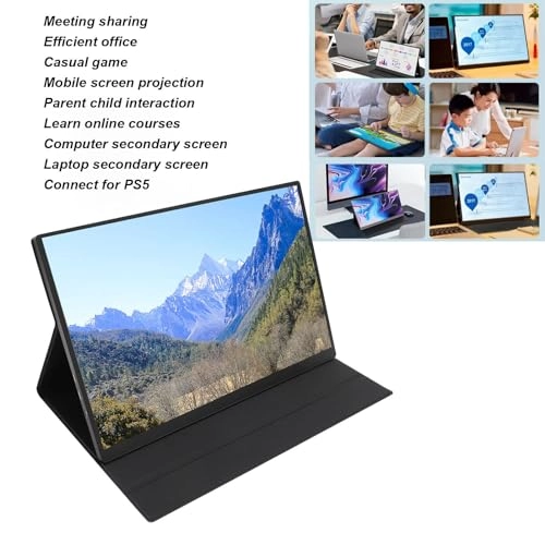 Portable Monitor - Denashbcx40sagz5 16in 2560 x 1600P