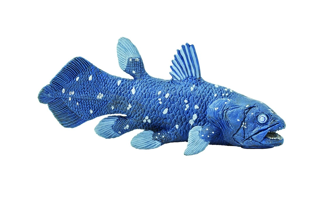 Safari Ltd Coelacanth Figurine - 5.5" Prehistoric Fish Ages 3+