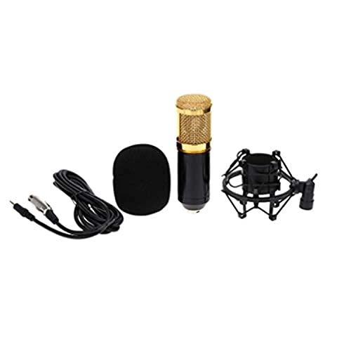 BM-800 3.5mm-Mini-Jack Microphone