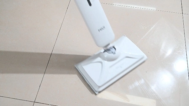 Steam Mops-CBST02 - 300 Milliliters