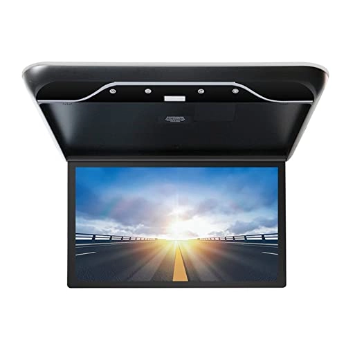 Car Screen - 19 inch