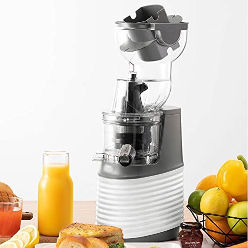 Electric Fruit Juicer