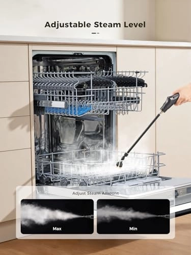 Handheld Steam Cleaner