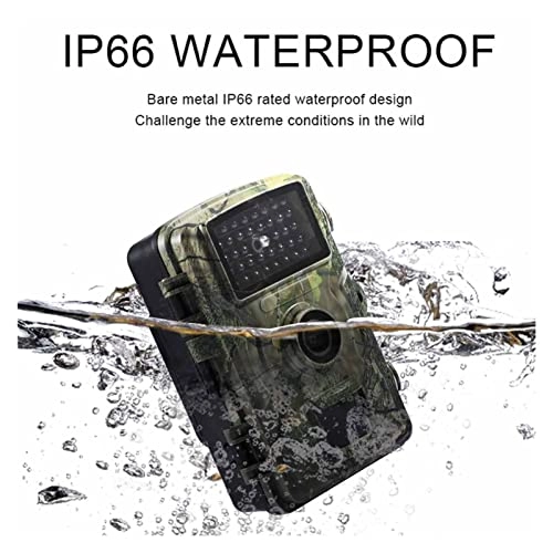 DL001 - 12MP