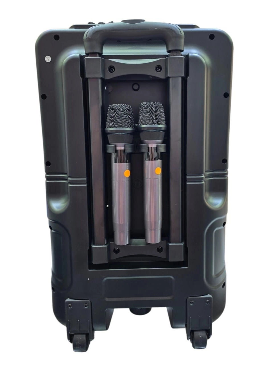 SA-1207 - Dual Wireless Microphones