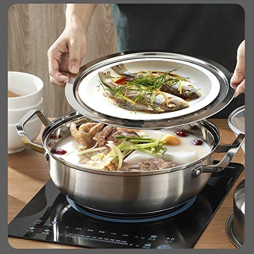 Electromagnetic Steamer