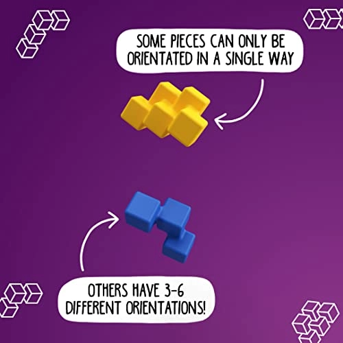 IQ Perplex Puzzle (SG305)