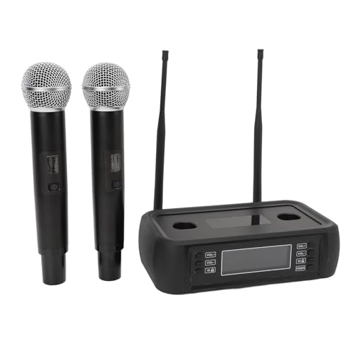 Professional Noise Reduction Handheld Microphone System USB Microphone