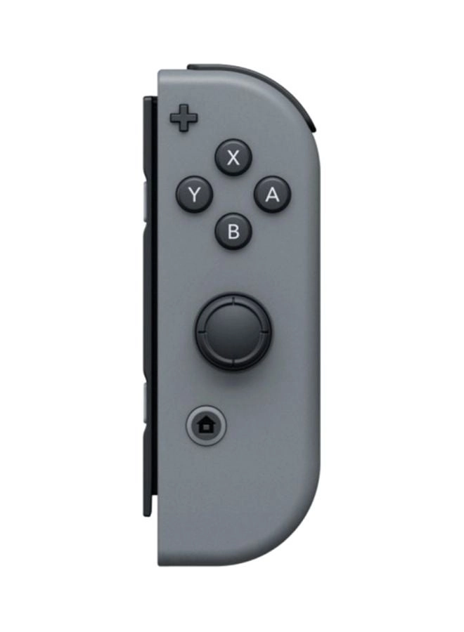 Joycon - Grey