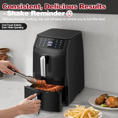 Dual Air Fryer AF1102