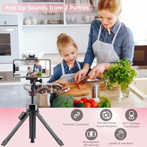 Wireless Microphone - 2 Clip on Microphones(Pink)