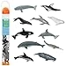 Whales & Dolphins TOOB - 12 pcs
