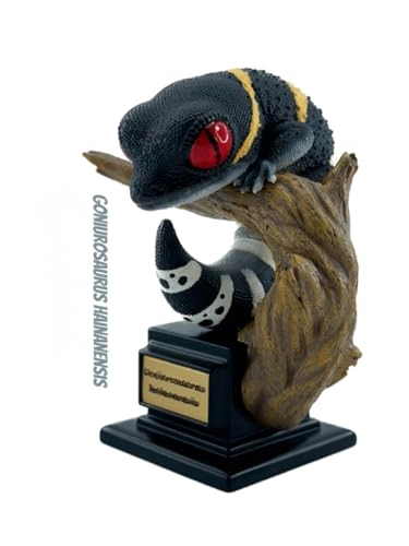 Gecko - Nephrurus Wheeleri Wheeleri (BWZ-SG)