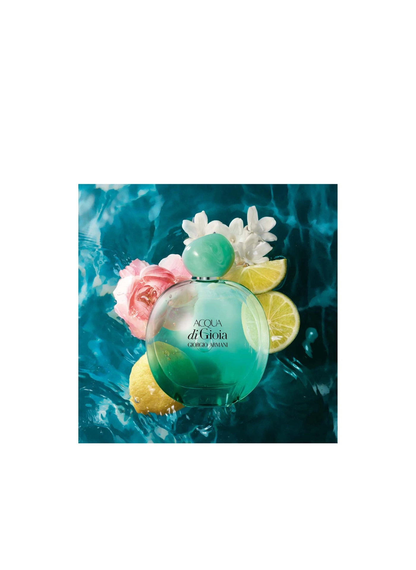 Acqua di Giò Eau de Parfum 100ml