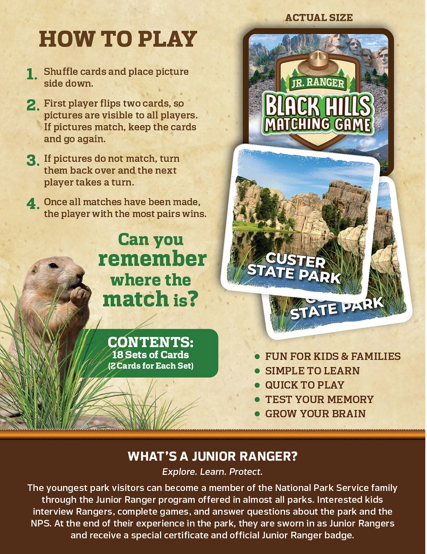 Jr Ranger - Black Hills Matching Game