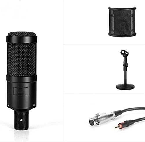 857 USB Microphone
