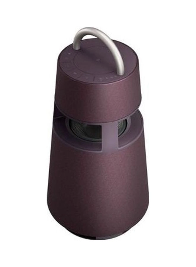 XBOOM 360 RP4 - 120 Watt