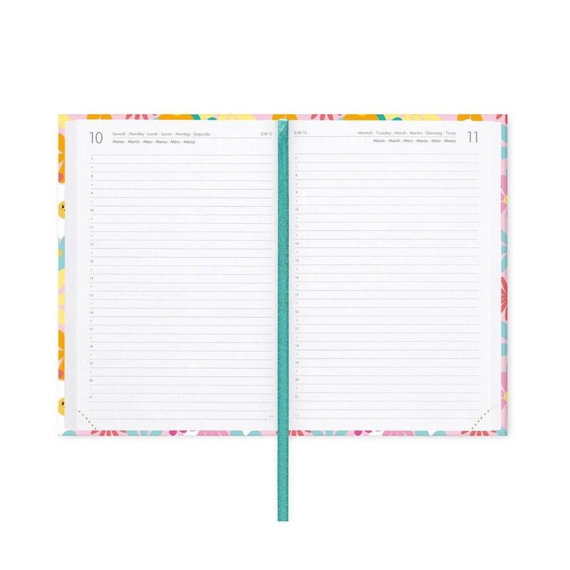 16-Month Diary