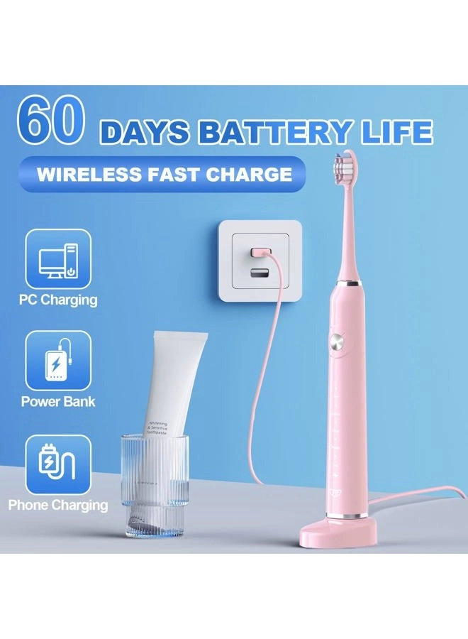 P200 - 6 Brush Heads Travel Case 60 Days