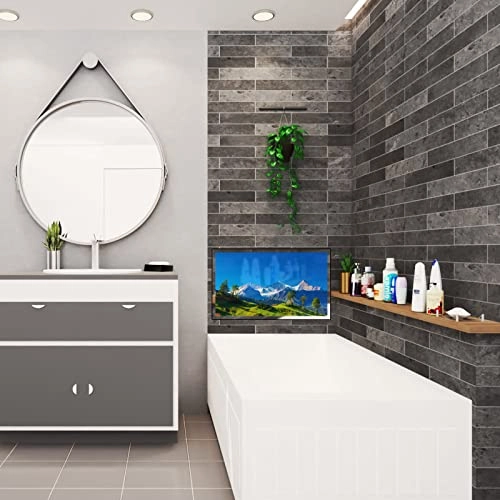 SS270U22-E020 - 27 inch