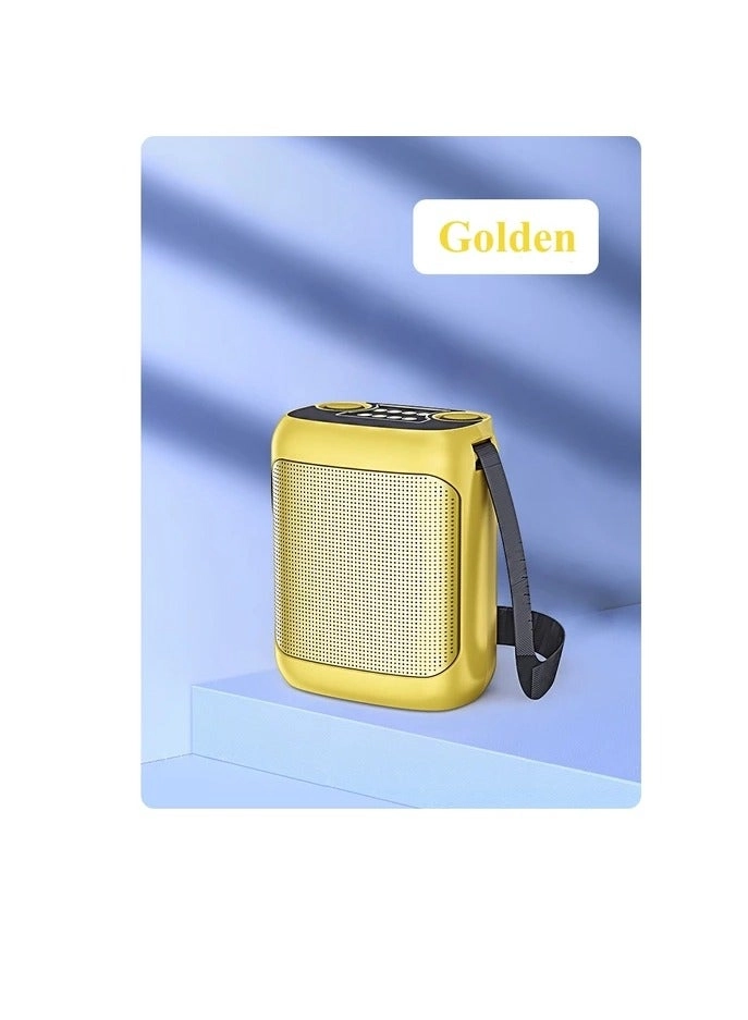 219 Bluetooth Karaoke Speaker System - 2