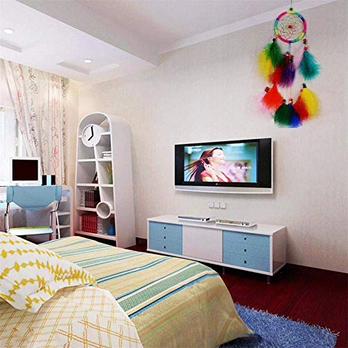 Dreamcatcher - Siderosphere, feathers, lines, wood beads.