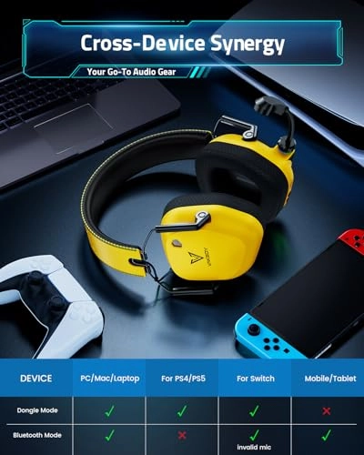 HW20 Wireless Headset