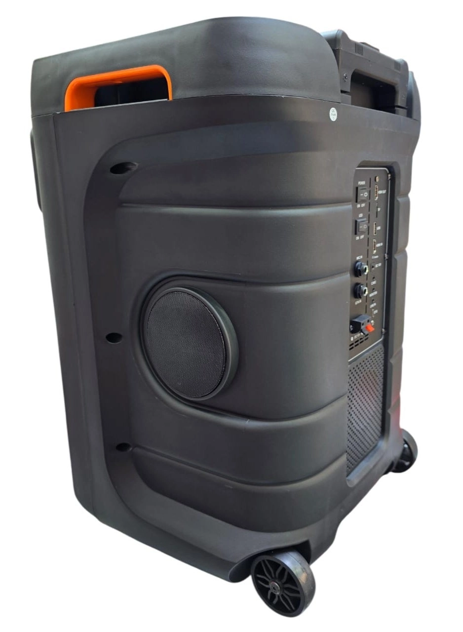 SA-1207 - Dual Wireless Microphones