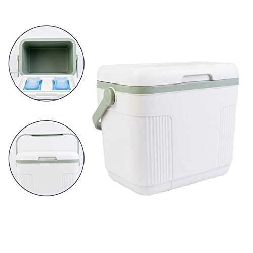 Mini Car Refrigerator - 5 liters