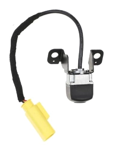 Rear View Camera - Night vision