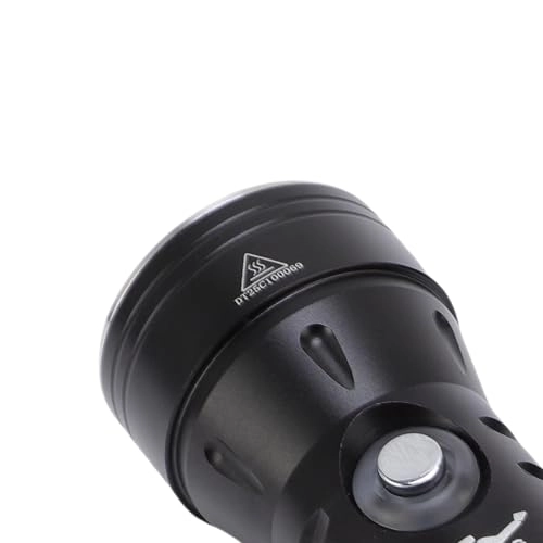 Dive Flashlight