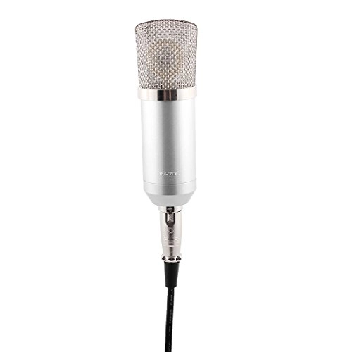 BM-700 3.5mm-Mini-Jack Microphone