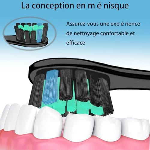 Brush Heads - Pack of 6 Compatible with My Variations Sonic Black