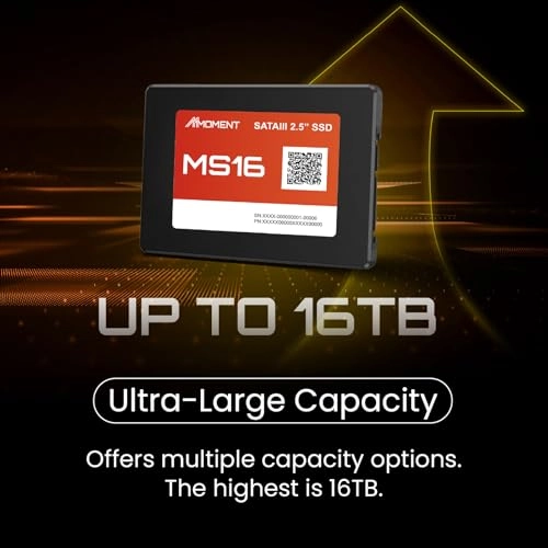 MS16 - 512GB 2.5-inch