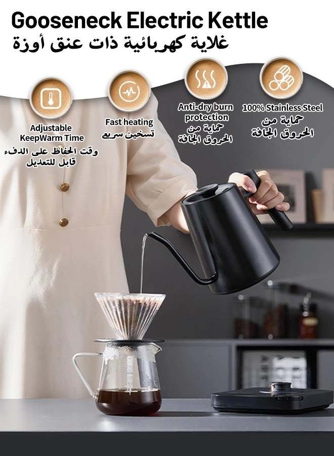 Temperature Control Gooseneck Electric Kettle