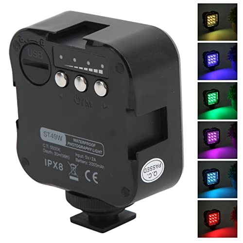 Bewinner Video Light