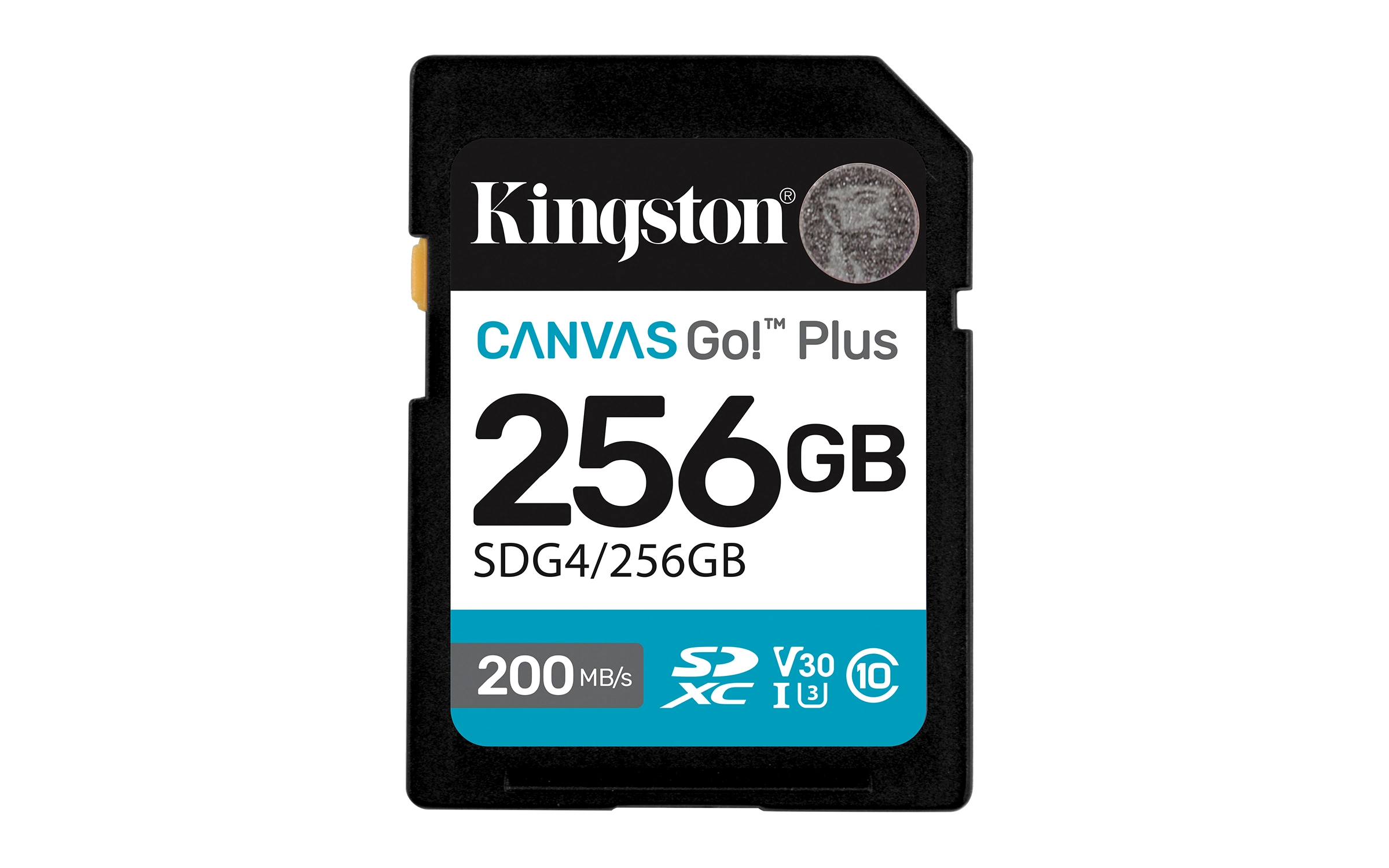 Canvas Select Plus - 256 GB