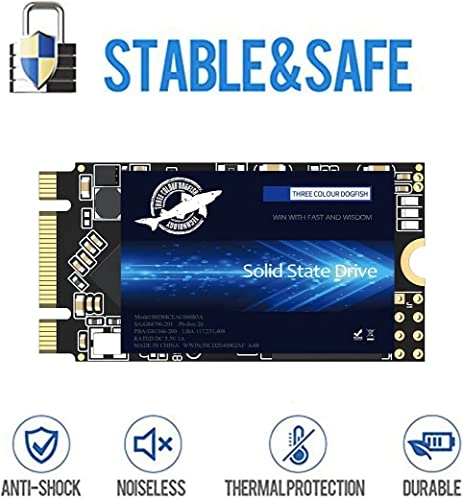 M.2 SATA SSD - 4000 GB M.2 2242