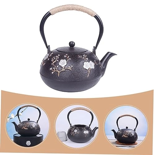 Cast Iron Teapot