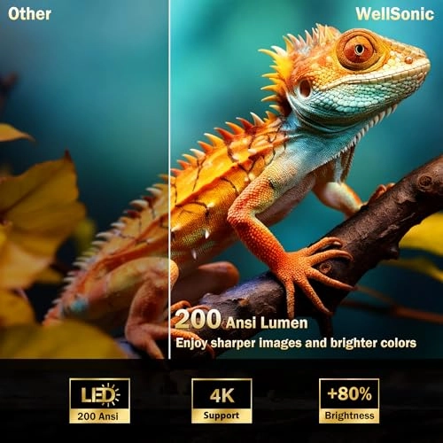 X8MAX 200 ANSI lumens