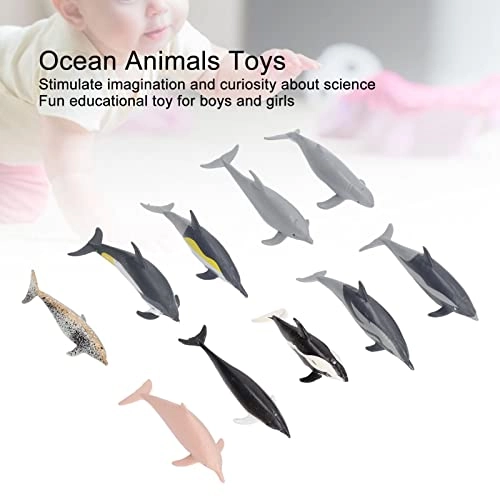Dolphin Model Toy Science - 4 years and up 10 pieces